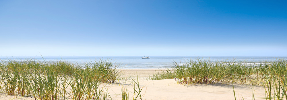 Der Küstenort Egmond aan Zee bietet neben seinem langen Sandstrand auch das größte Naturschutzgebiet der Niederlande. 